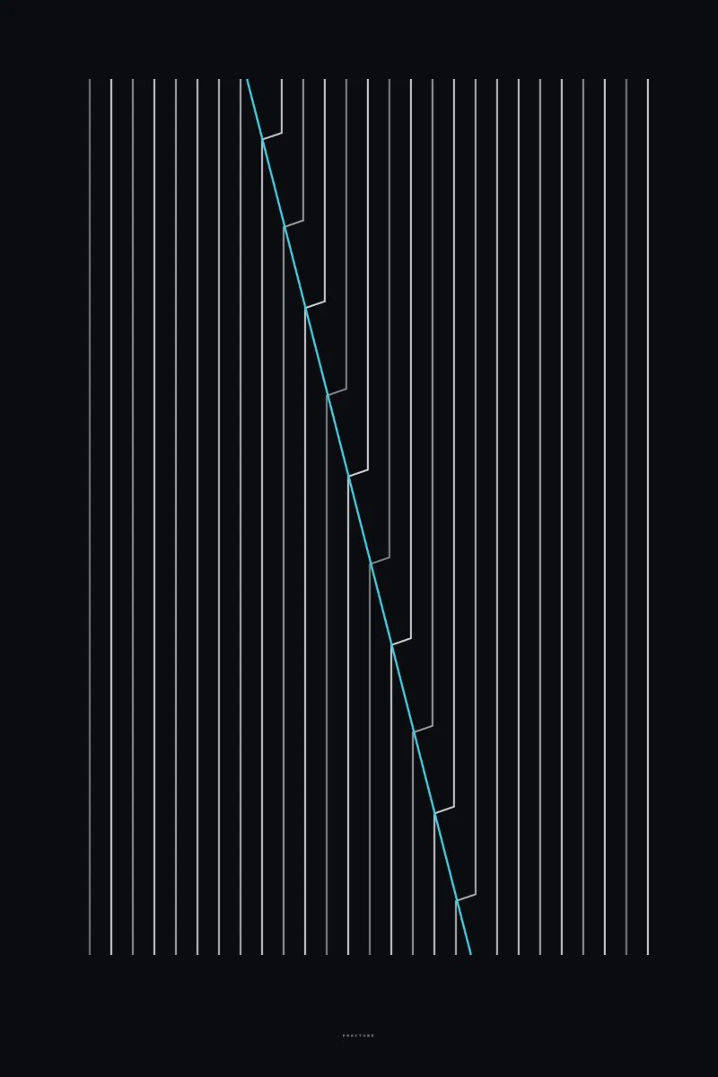 Fracture